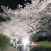 ヒメ日記 2026/03/01 12:31 投稿 ふうか 涼泉（りょうせん）