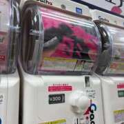 ヒメ日記 2026/04/14 12:32 投稿 ふうか 涼泉（りょうせん）