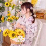ヒメ日記 2026/07/29 12:31 投稿 ふうか 涼泉（りょうせん）