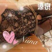 ヒメ日記 2025/06/25 15:01 投稿 ニイナ 涼泉（りょうせん）