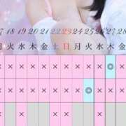 ヒメ日記 2025/03/05 16:48 投稿 Haru THE PREMIUM （プレミアム）