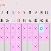 ヒメ日記 2025/03/25 07:21 投稿 Haru THE PREMIUM （プレミアム）