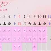 ヒメ日記 2025/04/02 16:36 投稿 Haru THE PREMIUM （プレミアム）