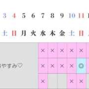 ヒメ日記 2025/04/24 00:39 投稿 Haru THE PREMIUM （プレミアム）