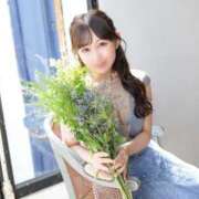 ヒメ日記 2025/05/19 06:54 投稿 Haru THE PREMIUM （プレミアム）