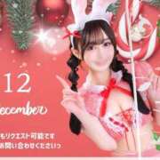 Haru ❤️12月あと11枠❤️ THE PREMIUM （プレミアム）