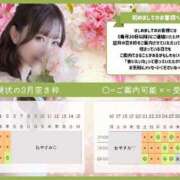 Haru 炊飯器を買いたかったのに THE PREMIUM （プレミアム）