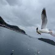 ヒメ日記 2026/03/29 10:26 投稿 うさぎ DESIRE（中州）