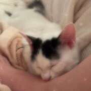 ヒメ日記 2025/07/07 10:59 投稿 かりん コートダジュール