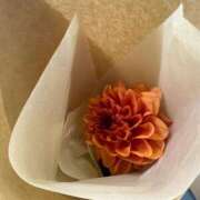 ヒメ日記 2025/10/11 00:11 投稿 かりん コートダジュール