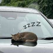 ヒメ日記 2025/12/02 09:41 投稿 かりん コートダジュール