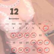 ヒメ日記 2025/12/11 23:45 投稿 かりん コートダジュール