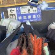 ヒメ日記 2025/12/12 08:53 投稿 かりん コートダジュール