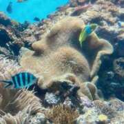 わかこ 500分でも足りなかった日🫣🩷 PRISM(都城)