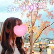 梨菜/Rina 夜桜を🌸 ジュリエット