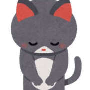 ヒメ日記 2025/11/18 08:09 投稿 みどり 熟女総本店 堺東店