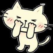 ヒメ日記 2025/11/27 17:31 投稿 みどり 熟女総本店 堺東店