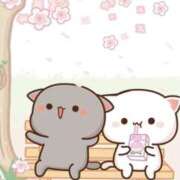 ヒメ日記 2026/03/25 16:09 投稿 みどり 熟女総本店 堺東店