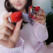 Shiho 3月の予定? THE RICH