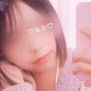 ヒメ日記 2025/11/21 13:00 投稿 もか 静岡駅前ちゃんこ