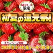 ヒメ日記 2024/06/12 18:08 投稿 せいら チューリップガールズ福井別館