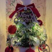 ヒメ日記 2024/12/25 19:44 投稿 せいら チューリップ福井別館