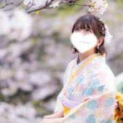 ヒメ日記 2025/04/13 15:34 投稿 せいら チューリップ福井別館