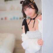 ヒメ日記 2025/05/29 11:04 投稿 せいら チューリップ福井別館