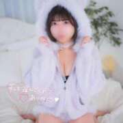 ヒメ日記 2025/06/13 00:54 投稿 せいら チューリップ福井別館