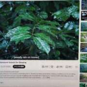 ヒメ日記 2026/04/14 03:45 投稿 みか　ナチュラルスレンダーボディ 辻Opera～オペラ～