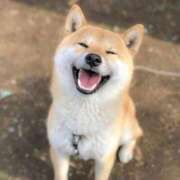 ヒメ日記 2026/04/21 08:45 投稿 みか　ナチュラルスレンダーボディ 辻Opera～オペラ～