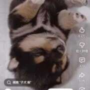 ヒメ日記 2026/05/06 13:05 投稿 みか　ナチュラルスレンダーボディ 辻Opera～オペラ～