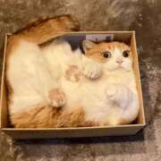 ヒメ日記 2026/07/07 21:55 投稿 みか　ナチュラルスレンダーボディ 辻Opera～オペラ～