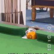 ヒメ日記 2026/08/15 12:45 投稿 みか　ナチュラルスレンダーボディ 辻Opera～オペラ～