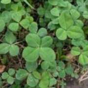 ヒメ日記 2026/04/06 20:30 投稿 きらり 立川女学園