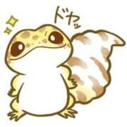 ヒメ日記 2026/04/17 23:45 投稿 きらり 立川女学園