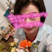 ヒメ日記 2025/04/08 11:20 投稿 むらさき 奥鉄オクテツ東京店（デリヘル市場）