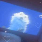 ヒメ日記 2025/11/28 23:30 投稿 みお One More 奥様　池袋店