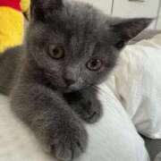 ヒメ日記 2025/04/01 19:26 投稿 ひめか ぽちゃらん神栖店