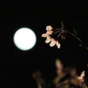 ヒメ日記 2025/04/07 00:50 投稿 みどり 奥鉄オクテツ東京店（デリヘル市場）