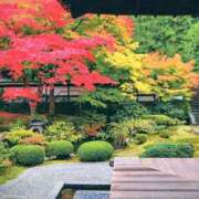 みどり 泉湧寺 奥鉄オクテツ東京店（デリヘル市場）