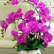 ヒメ日記 2025/05/30 17:55 投稿 みずほ 逢って30秒で即尺