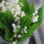 ヒメ日記 2025/06/17 14:32 投稿 みずほ 逢って30秒で即尺