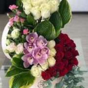 ヒメ日記 2025/07/30 23:28 投稿 みずほ 逢って30秒で即尺