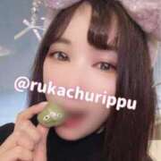 ヒメ日記 2025/03/31 21:24 投稿 るか チューリップ福井別館