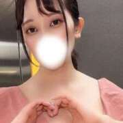 ヒメ日記 2025/04/13 12:24 投稿 るか チューリップ福井別館