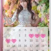 ヒメ日記 2025/10/06 15:24 投稿 るか チューリップ福井別館