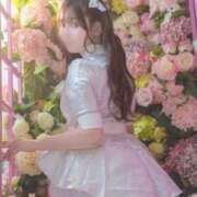 ヒメ日記 2025/11/01 12:35 投稿 るか チューリップ福井別館