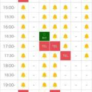 ヒメ日記 2024/12/16 09:20 投稿 鳳条ひの ウルトラセレクション
