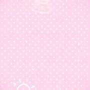 ヒメ日記 2025/03/20 09:13 投稿 あき MOISTLIP